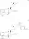 Fig. 152 - Amine salts of a prostacyclin analog