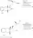 Fig. 231 - Amine salts of a prostacyclin analog