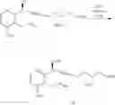 Fig. 253 - Amine salts of a prostacyclin analog