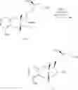 Fig. 263 - Amine salts of a prostacyclin analog