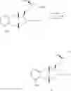 Fig. 268 - Amine salts of a prostacyclin analog