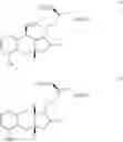 Fig. 300 - Amine salts of a prostacyclin analog