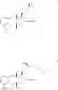 Fig. 80 - Amine salts of a prostacyclin analog