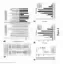 Fig. 06 - METHODS FOR INHIBITING MUSCLE ATROPHY