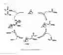 Fig. 02 - (Meth)acrylate manufacturing method