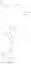 Fig. 07 - N-methyl pyrazoles