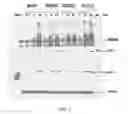 Fig. 03 - Therapeutic agents