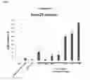 Fig. 03 - Triazole benzamide derivatives and the compositions and methods of treatment regarding the same
