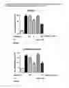 Fig. 06 - COMPOUNDS