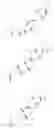 Fig. 263 - Macrocyclization reactions and intermediates and other fragments useful in the synthesis of halichondrin macrolides