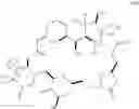 Fig. 34 - Macrocyclization reactions and intermediates and other fragments useful in the synthesis of halichondrin macrolides