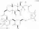 Fig. 63 - Macrocyclization reactions and intermediates and other fragments useful in the synthesis of halichondrin macrolides