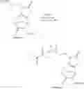 Fig. 41 - Heterocyclic compounds and their use in preventing or treating bacterial infections
