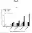 Fig. 04 - Composition comprising recombinant fusion protein of pathogenic antigen protein and flagellin of vibrio vulnificus for preventing, alleviating, or treating aging
