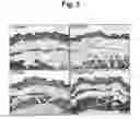 Fig. 06 - Composition comprising recombinant fusion protein of pathogenic antigen protein and flagellin of vibrio vulnificus for preventing, alleviating, or treating aging