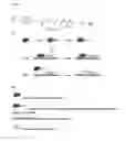 Fig. 02 - Modified collagen, methods of manufacture thereof