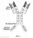 Fig. 02 - COMBINATION THERAPY FOR CANCER