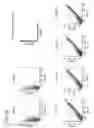 Fig. 06 - Anti-ALK2 antibody