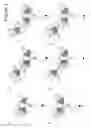 Fig. 02 - Bispecific T cell activating antigen binding molecules