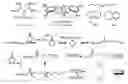 Fig. 02 - Ring-opening polymerization methods and recyclable biorenewable polyesters