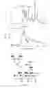Fig. 02 - Catechol-containing adhesive hydrogel, composition for preparing adhesive hydrogel, and compositions each including said adhesive hydrogel