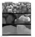 Fig. 01 - Suspending proppants with polymerized hydrogels