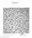 Fig. 02 - STABLE INP QUANTUM DOTS WITH THICK SHELL COATING AND METHOD OF PRODUCING THE SAME