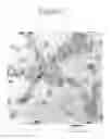 Fig. 03 - STABLE INP QUANTUM DOTS WITH THICK SHELL COATING AND METHOD OF PRODUCING THE SAME