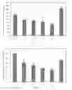 Fig. 02 - Preparation and use of slow-release iron-based biochar soil heavy metal passivator