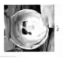 Fig. 08 - VEGETABLE OILS, VEGETABLE OIL BLENDS, AND METHODS OF USE THEREOF
