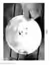 Fig. 10 - VEGETABLE OILS, VEGETABLE OIL BLENDS, AND METHODS OF USE THEREOF