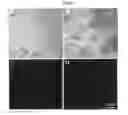 Fig. 02 - COMPOSITIONS COMPRISING YEAST CELLS AND POLYPHENOLS AND THEIR USE