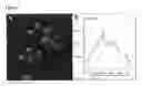 Fig. 04 - COMPOSITIONS COMPRISING YEAST CELLS AND POLYPHENOLS AND THEIR USE