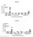 Fig. 09 - ORGANOTYPIC LUNG MODEL WITH FUNCTIONAL IMMUNE CELLS