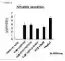 Fig. 06 - Method for inducing hepatocytes