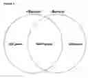 Fig. 02 - CULTURE OF RPE CELLS