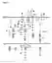 Fig. 03 - CULTURE OF RPE CELLS