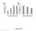 Fig. 09 - Methods of maintaining, expanding, and differentiating neuronal subtype specific progenitors