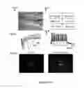 Fig. 10 - Methods of maintaining, expanding, and differentiating neuronal subtype specific progenitors