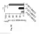 Fig. 10 - Compositions and methods for diminishing an immune response
