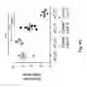 Fig. 14 - Compositions and methods for diminishing an immune response