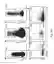 Fig. 16 - Compositions and methods for diminishing an immune response