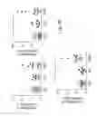 Fig. 26 - Compositions and methods for diminishing an immune response