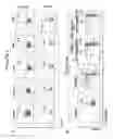 Fig. 07 - T-REG cell expansion