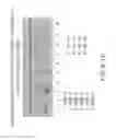 Fig. 28 - Isolation and cultivation of stem/progenitor cells from the amniotic membrane of umbilical cord and uses of cells differentiated therefrom