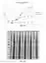 Fig. 09 - Aseptic purification process for viruses
