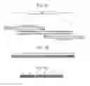Fig. 02 - DIRECTED DIFFERENTIATION OF PLURIPOTENT STEM CELLS BY BACTERIAL INJECTION OF TALEN PROTEINS