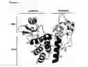 Fig. 04 - Crystal structure of Autolysin E, method of producing the crystal and its use in screening methods