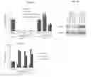 Fig. 06 - Targeting BCL11A distal regulatory elements for fetal hemoglobin reinduction