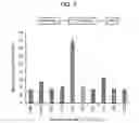 Fig. 08 - Targeting BCL11A distal regulatory elements for fetal hemoglobin reinduction